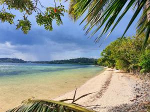 a view of a beach with trees and the ocean at Seafront Apartment Coral Coast in Korotogo