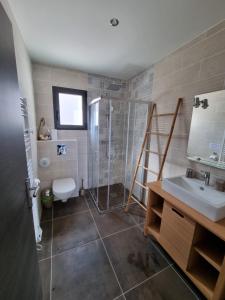 a bathroom with a shower and a toilet and a sink at Villa Célestine in Calvi +19 photos