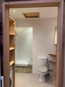 Ένα μπάνιο στο Terrasse sur les Aravis +15 φωτογραφίες