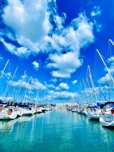 a bunch of boats parked in a marina at Stay in a Boat - Lisboa in Lisbon