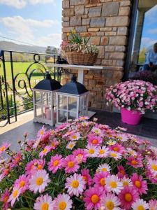a bunch of flowers on a patio with a table at Cha Cha de Loup in Rendeux