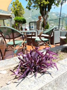 two chairs and a purple plant on a patio at Hotel Mareluna Ischia in Ischia