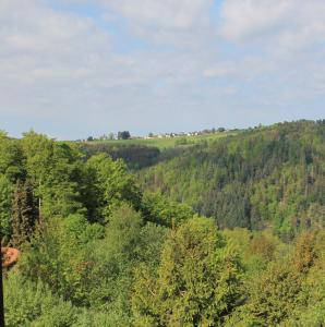 Fotografie z fotogalerie ubytování Gemütliche Ferienwohnung im Schwarzwald v destinaci Ühlingen-Birkendorf