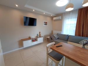 Televízia a/alebo spoločenská miestnosť v ubytovaní APARTAMENTY BARSKA 69