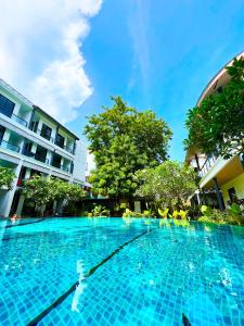 Bazén v ubytování Z&Z Resort nebo v jeho okolí