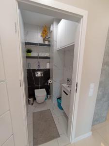 Kúpeľňa v ubytovaní APARTAMENTY BARSKA 69