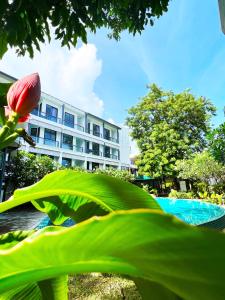 Zahrada ubytování Z&Z Resort