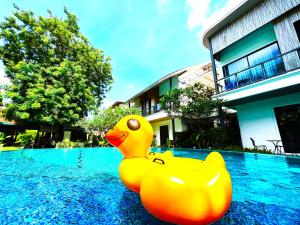a yellow rubber duck sitting in a swimming pool at Z&Z Resort in Rawai Beach