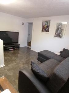 TV a/nebo společenská místnost v ubytování Schöne Einliegerwohnung in Hechingen