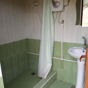 a green bathroom with a shower and a sink at Tatev 1 in Tatʼev