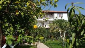 Zahrada ubytování Ayris Hotel Çıralı
