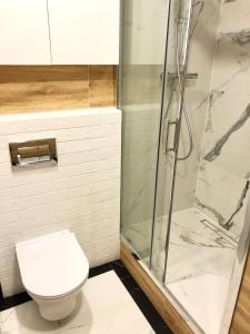 een badkamer met een toilet en een douche bij Sztormowa Apartment in Gdańsk