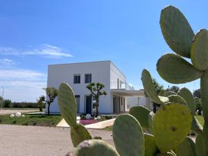 a white house with a cactus in front of it at Verde Blu Vacanze B&B in Torre Lapillo