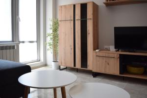 TV a/nebo společenská místnost v ubytování Pirotska 47 apartment