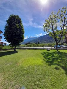 een groen veld met twee bomen en een berg bij Lovely 1bedroom apartment central valley location in Aosta