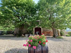 un tonneau rempli de fleurs devant un bâtiment dans l'établissement Relais de Laval, à Caudiès-de-Fenouillèdes