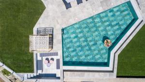 una vista aérea de una piscina con un perro. en Villa Indira, en Kalithies