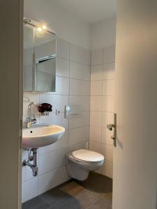 uma casa de banho com um WC e um lavatório em Gemütliches Appartement mit eigener Terrasse em Lindau-Bodolz