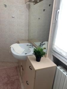 baño con lavabo y maceta en La casa del principe, en Grisignano di Zocco
