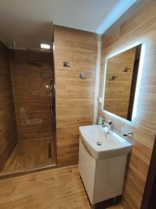 a bathroom with a shower and a sink and a mirror at Pensiunea Antonio Bran in Bran