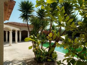 Villa con piscina y palmeras en Hacienda Shelsy en Magalas