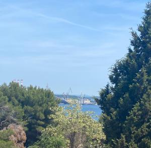 a view of a river through the trees at Villa Mara in Pula