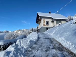 Haus Nocky Mountains взимку