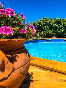 Una piscina con flores en una olla al lado. en Casa Lumera, en Castiglione di Sicilia