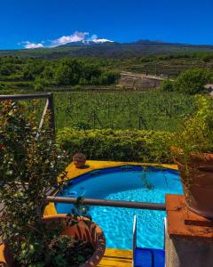 una piscina con vistas a un viñedo en Casa Lumera, en Castiglione di Sicilia