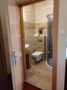 La salle de bains est pourvue de toilettes et d'un lavabo. dans l'établissement Virgo B&B Biznes Rumia, à Rumia