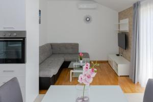 TV/trung tâm giải trí tại Apartment Plazonić