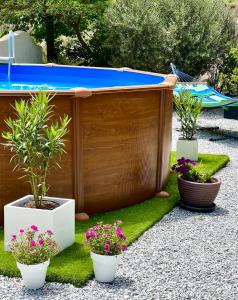 a garden with potted plants and a swimming pool at Cuevas de la Paz - Cave House Holidays in Los Carriones