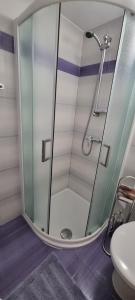 a bathroom with a shower with a sink and a toilet at App Maria 3 in Zambratija +44 photos