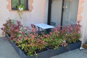 Vonkajšia záhrada v ubytovaní Les Terrasses de L'Oliu de L'Oustalet