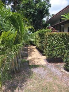 a path through a garden with palm trees at Airee Mini House in Bang Tao Beach