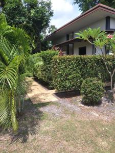 a garden in front of a house with plants at Airee Mini House in Bang Tao Beach