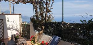 uma varanda com uma cerca, uma árvore e flores em Casa Grace Amalfi - seaview em Amalfi