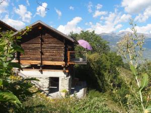 Pokrajina v okolici apartmaja