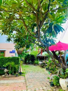 un patio con un árbol y una sombrilla rosa en Thai Guesthouse, en Kanchanaburi