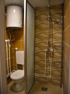 a bathroom with a toilet and a glass shower door at Vikendica,, Tadic,, Ovčar Banja in Ovčar Banja +16 photos