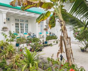 a porch of a house with chairs and plants at Fiyala Homestay in Feydhoo