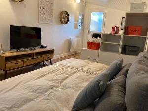 a living room with a large bed and a tv at Maison Cosy in Pessac