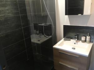 a bathroom with a shower with a sink and a toilet at Maison Cosy in Pessac