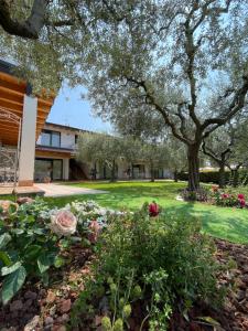 a garden in front of a building at Residence Ulivi in Cavaion Veronese