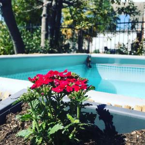 The swimming pool at or close to Villa Le Vignole