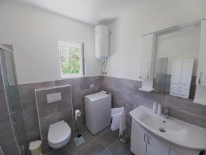 een badkamer met een toilet, een wastafel en een spiegel bij Studio apartman TRE PALME in Labin