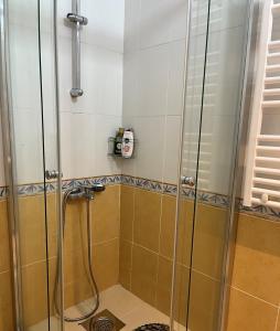une douche avec une porte vitrée dans une salle de bain dans l'établissement OLE apartment III - in the city center, à Skopje 26 autres photos