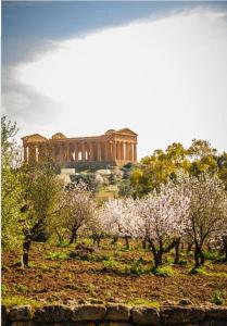 a building on a hill with trees in front at A casa di Ro` in Agrigento
