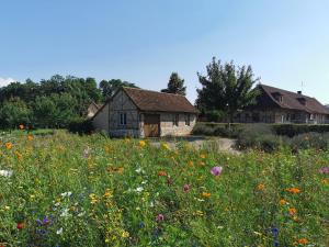 a field of flowers in front of a house at La ferme de la Terve in Bruailles