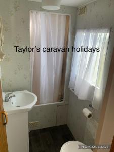 インゴールドメルズにあるTaylor's Caravan Holiday's 9 berthのバスルーム(シンク、シャワー、トイレ付)